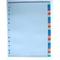 26 páginas índice PP color divisor con inglés impreso (BJ-9029)